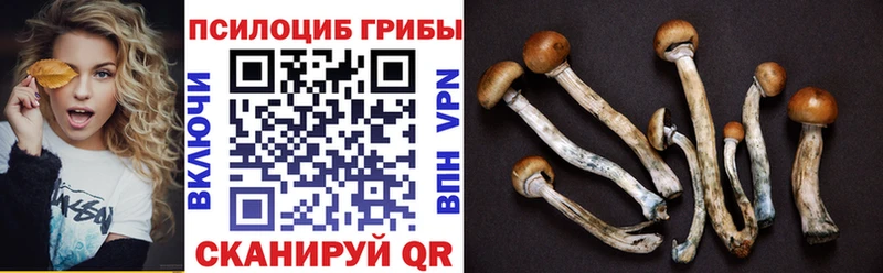 Псилоцибиновые грибы мухоморы  Чулым 